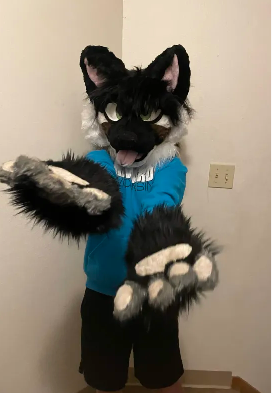 Fursuit + paw examples